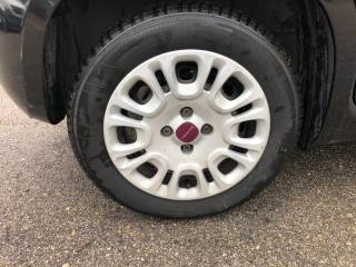 FIAT Panda usata, con Immobilizzatore elettronico