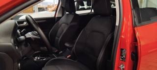 FORD Focus usata 14