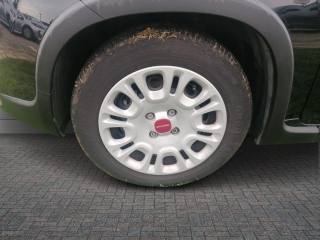 FIAT Panda usata 12