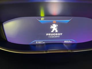 PEUGEOT 5008 usata, con Vivavoce