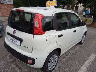 FIAT Panda usata, con Alzacristalli elettrici