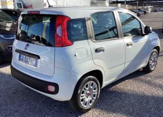 FIAT Panda usata, con Alzacristalli elettrici