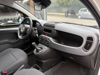 FIAT Panda usata, con Chiusura centralizzata