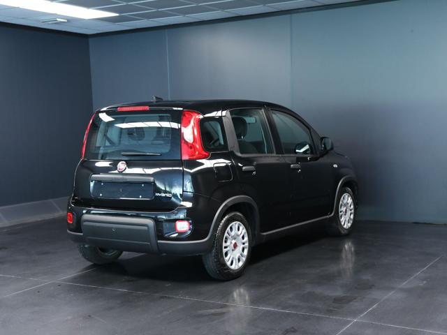 FIAT Panda usata, con Airbag Passeggero