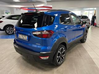 FORD EcoSport usata, con Fendinebbia