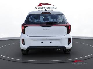 KIA Picanto usata 7