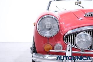 AUSTIN Healey usata 18