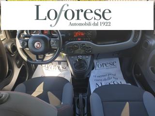 FIAT Panda usata, con Specchietti laterali elettrici
