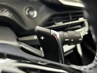 PEUGEOT 2008 usata, con Cronologia tagliandi