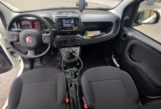 FIAT Panda usata, con Airbag testa