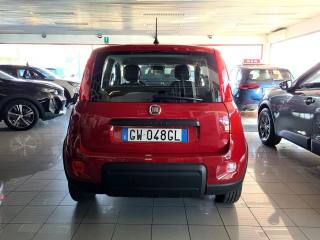 FIAT Panda usata, con Antifurto