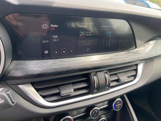 ALFA ROMEO Stelvio usata 38