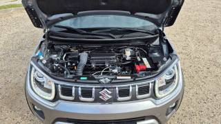 SUZUKI Ignis usata, con Volante in pelle