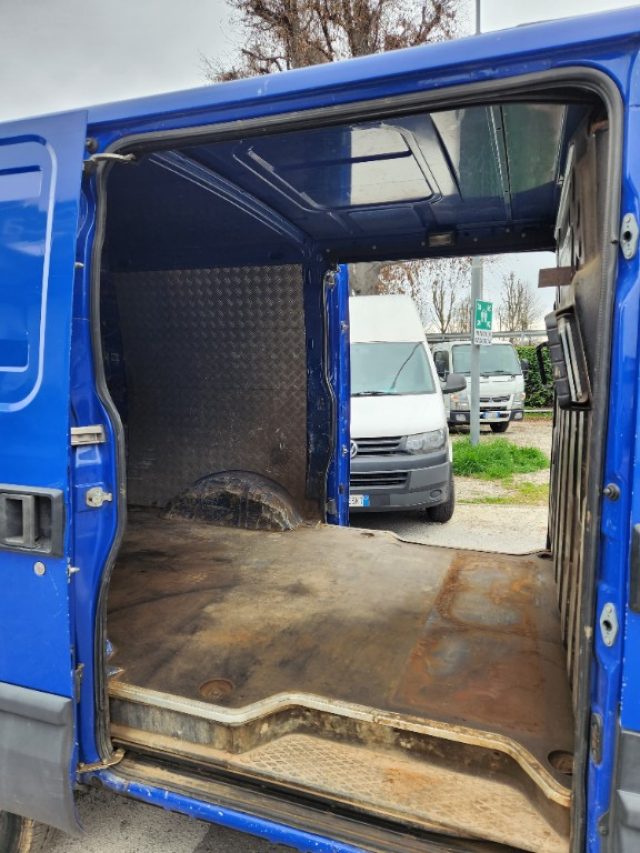IVECO Daily usata, con Adaptive Cruise Control