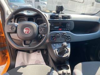 FIAT Panda usata, con Monitoraggio pressione pneumatici