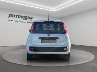 FIAT Panda usata 4