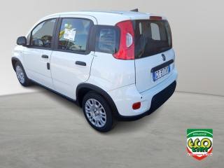 FIAT Panda usata, con Antifurto