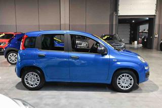 FIAT Panda usata, con Alzacristalli elettrici