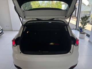 FIAT Tipo usata, con Cronologia tagliandi