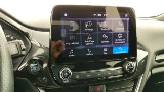FORD Fiesta usata, con Cronologia tagliandi