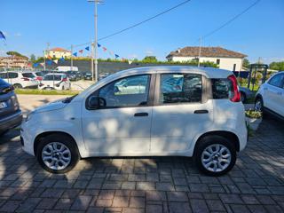 FIAT Panda usata, con Airbag