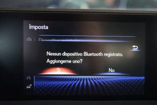 LEXUS UX 250h usata, con Fendinebbia