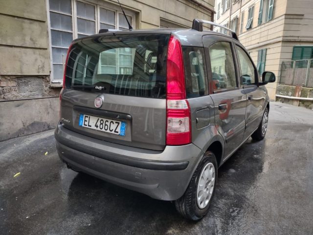 FIAT Panda usata 3