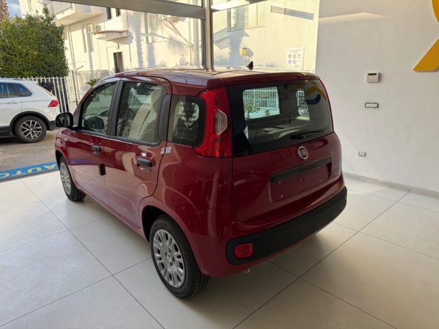 FIAT Panda usata, con Climatizzatore