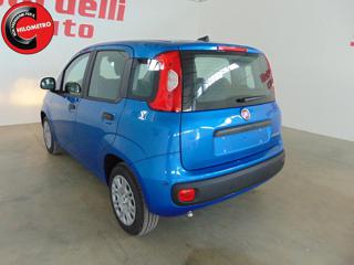 FIAT Panda usata, con USB