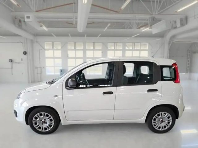FIAT Panda usata, con Airbag Passeggero