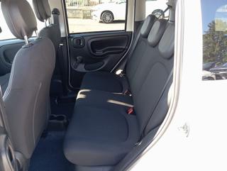 FIAT Panda Cross usata, con Climatizzatore