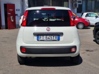 FIAT Panda usata 25
