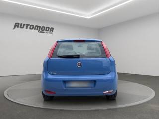 FIAT Punto usata 4