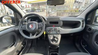 FIAT Panda usata 12
