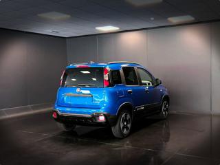 FIAT Panda usata, con Antifurto