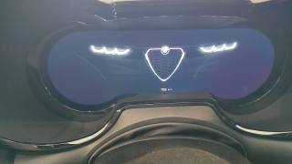 ALFA ROMEO Tonale usata, con Sedile posteriore sdoppiato