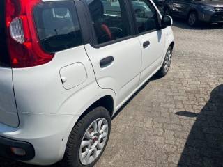 FIAT Panda usata, con ESP
