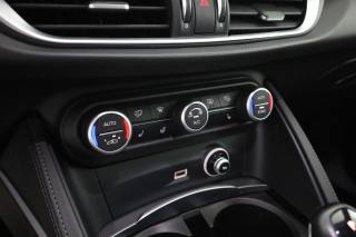 ALFA ROMEO Stelvio usata 11