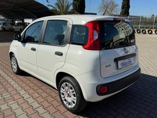 FIAT New Panda usata, con Climatizzatore