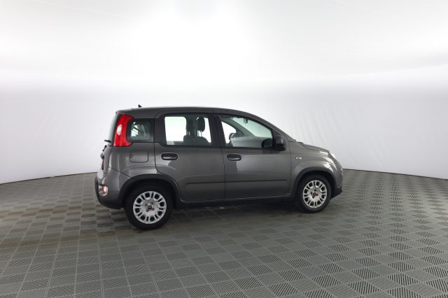 FIAT Panda usata 2