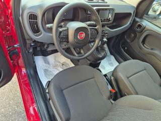 FIAT Pandina usata, con Controllo trazione