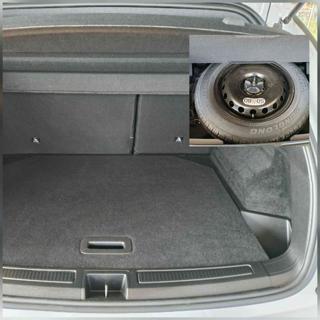 RENAULT Austral usata, con Fendinebbia