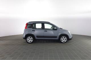 FIAT Panda usata 2
