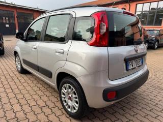 FIAT Panda usata, con Alzacristalli elettrici