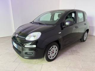 FIAT Panda usata 15