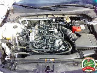 FORD Focus usata, con Servosterzo