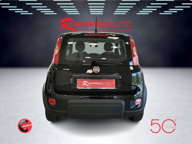FIAT Panda usata 7