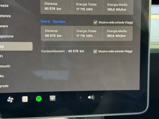 TESLA Model Y usata 14