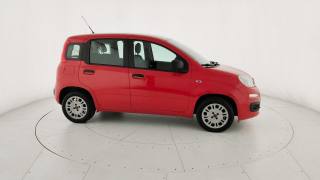 FIAT Panda usata 20