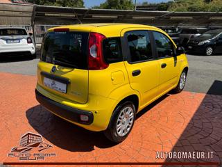 FIAT Panda usata, con Antifurto